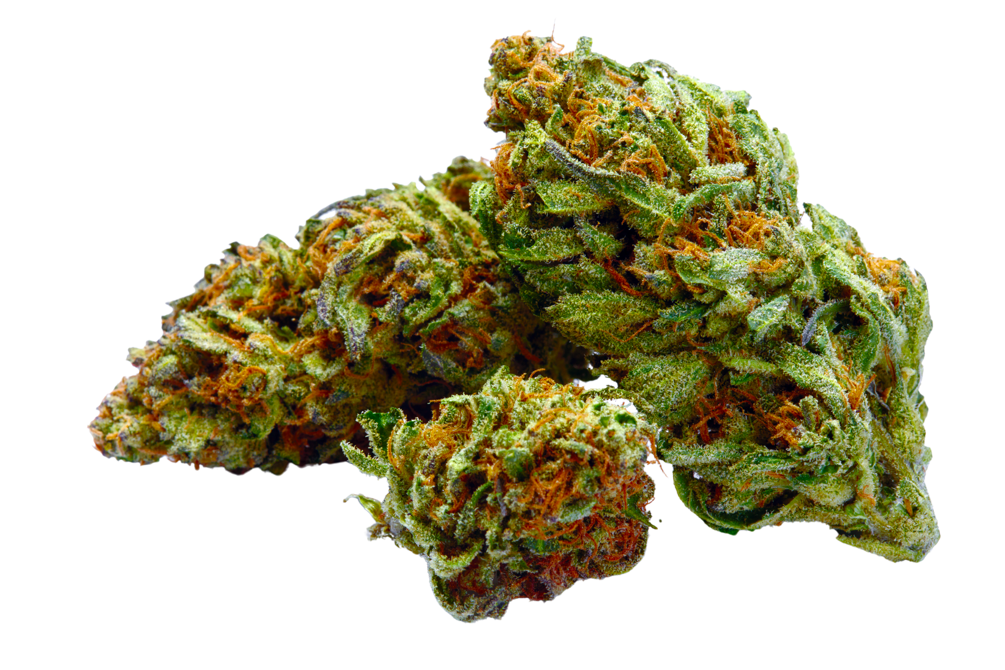 A marijuana nugget