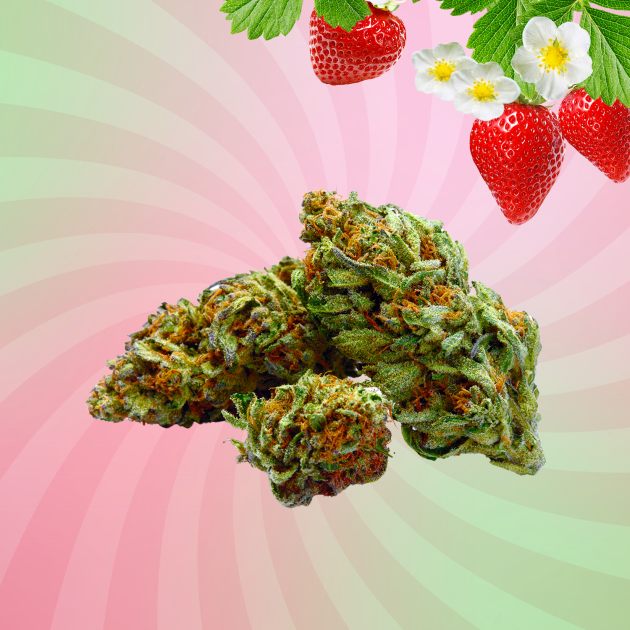 A vibrant strawberry and a cannabis plant displayed against a soft pink and green spiral background